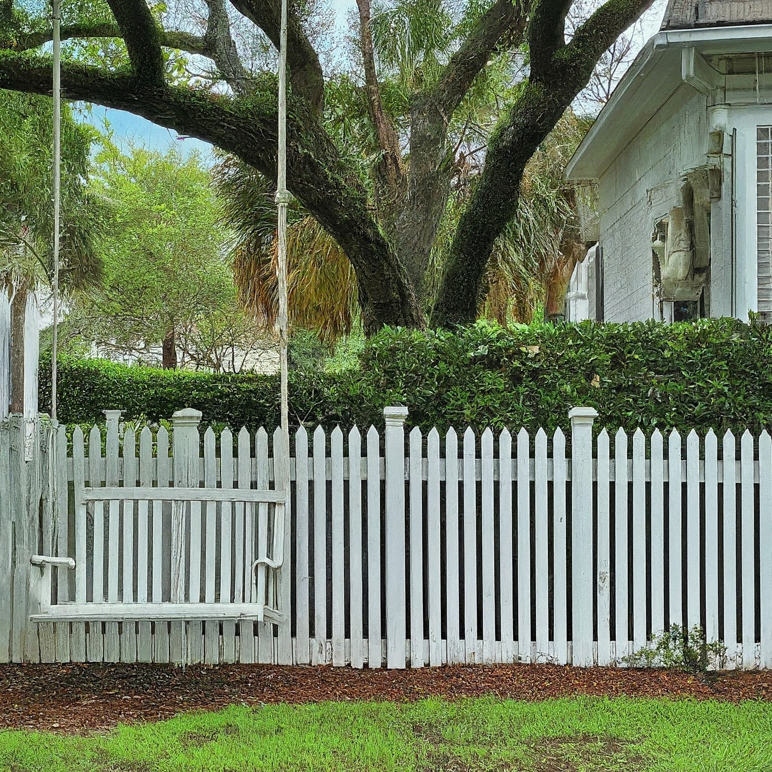 Mosquito free tampa